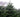 How To Pick Your Perfect Real Christmas Tree