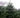 How To Pick Your Perfect Real Christmas Tree
