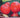 Grow Your Own Tomatoes In 5 Easy Steps