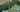 Elevate Your Garden Border: Top Shrubs to plant in UK garden borders