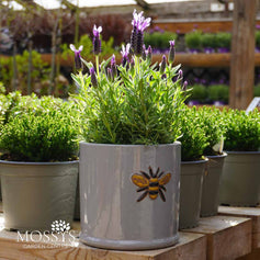 Bee Kind Bee Pots