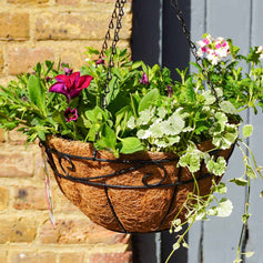 Planted Hanging Baskets