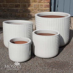 Blossom Pots