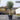 4-5ft olive tree in a 55l pot size