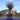 Extra Large Gnarled Olive Tree 375L (240cm)back