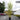 Bamboo Phyllostachys 'Aurea' 18.5L (230cm Inc Pot)
