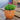 Terracotta Pot (13.5cm) planted