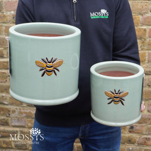 2x 'Green' Bee Pots Frost Proof Planter Bundle
