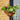 30cm Metal Wire Summer Hanging Basket pink mix