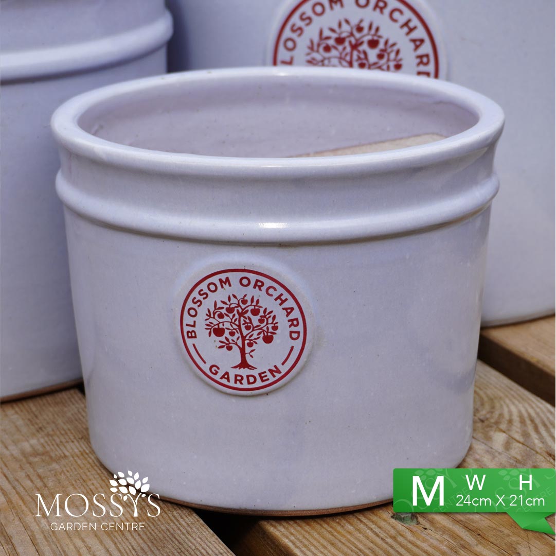 'Blue' Heritage Style Blossom Orchard Frost Proof Cylinder Garden Plan