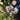 Kent & Stowe Navy Fleece Lined Rigger Gloves