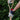 Kent & Stowe Navy Fleece Lined Rigger Gloves