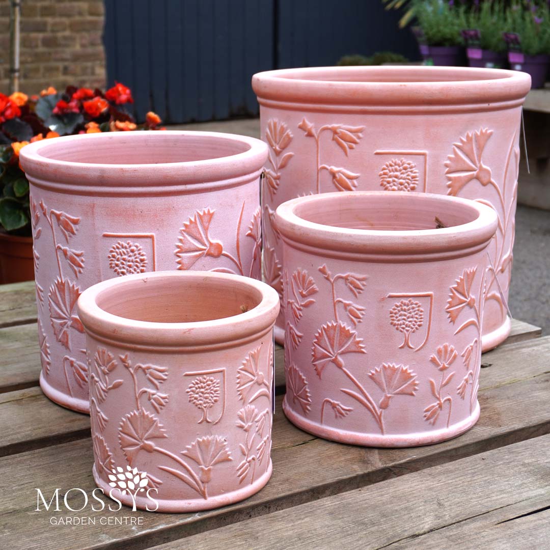 pink plant pot ceramic RHS Flora Wash Pink Terracotta Planters – Mossys Garden Centre