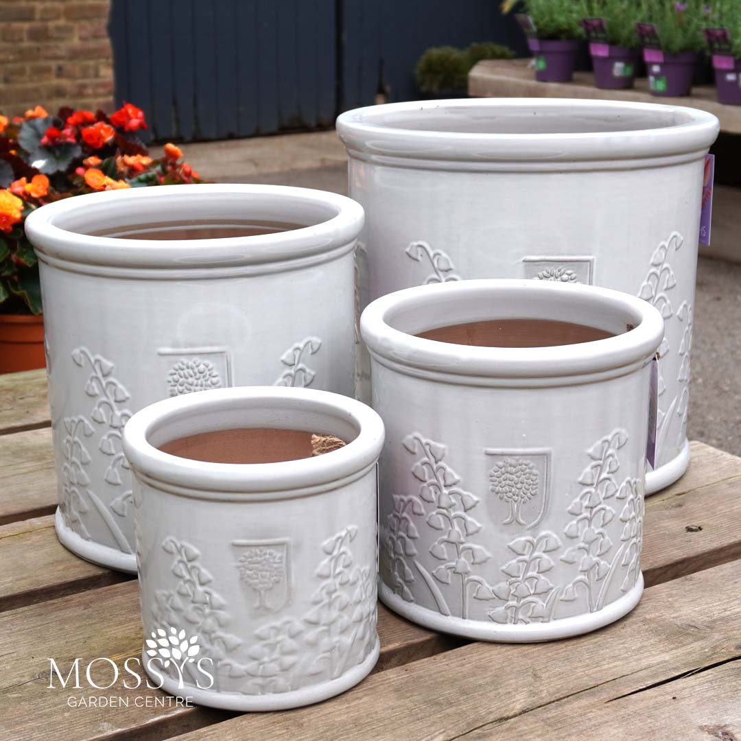 rhs planting pots RHS Flora White Glazed Floral Design Planters – Mossys Garden Centre