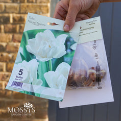 Tulip Mount Tacoma 'White' 5 Bulb Pack