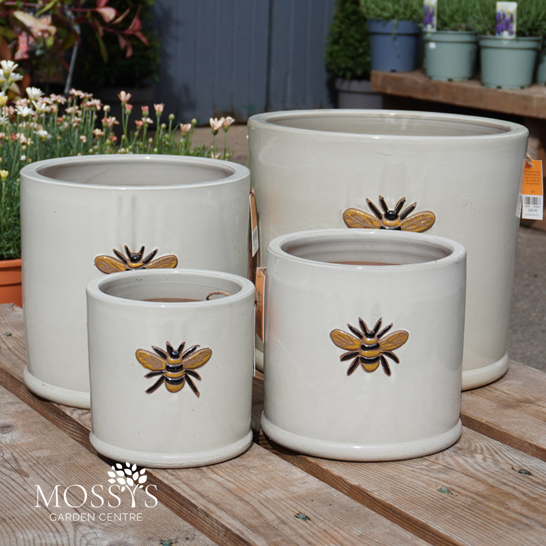 bee planter pot Creamy White' Bee Pots Glazed Frost Proof Planter – Mossys Garden Centre