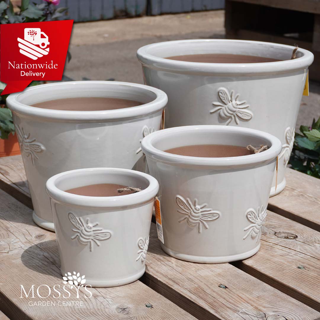 glazed plant pots uk Creamy White' Bee Kind Bumble Bee Glazed Pots Frost Proof Planters – Mossys Garden Centre
