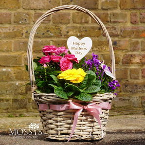 Mother's Day Spring Planted Wicker Basket