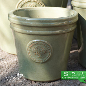 mims glazed green blossom orchard garden planters s