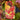 cercis eternal flame tag