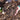 ornamental decorative bark mulch
