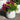 White Blossom Flower Pots Frost Proof Glazed Planter by woodlodge planted with a chrysanthemum