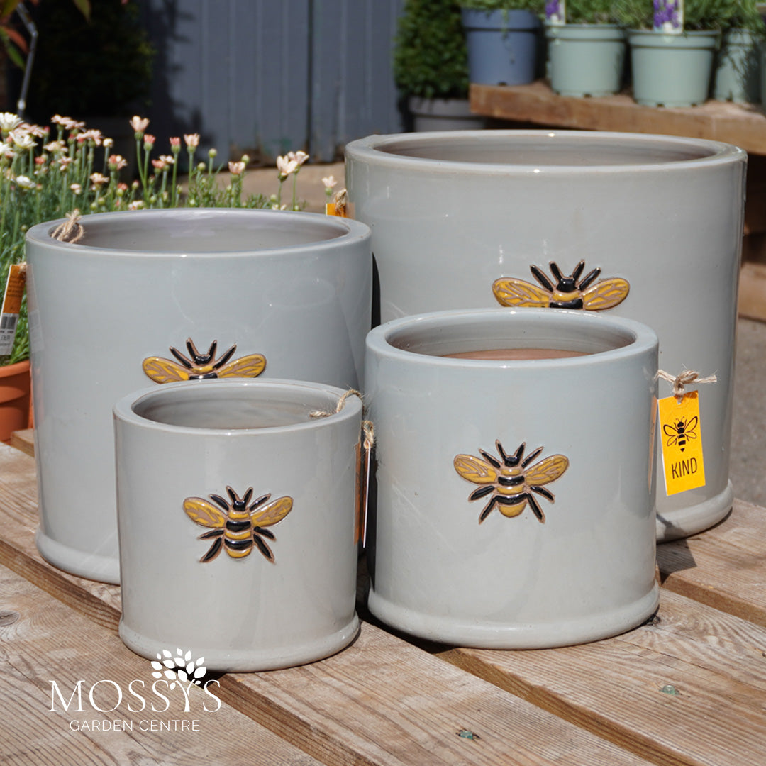 bees in plant pot Grey' Bee Pots Glazed Frost Proof Planters – Mossys Garden Centre