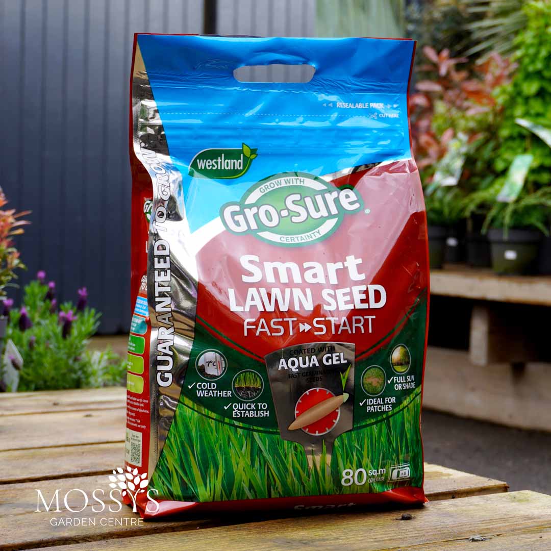 Westlands Smart Lawn Seed Fast Start 80sq.m Mossys Garden Centre