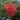 red winter berry stems ilex bouquet
