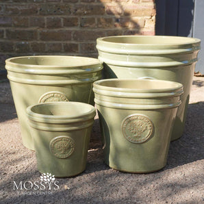 mims glazed green blossom orchard garden planters