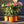 Load image into Gallery viewer, Nerium Oleanders (40cm)
