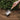 kent and stowe stainless steel hand trowel being used to dig dirt