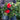 hand made holly wreath with natural holly