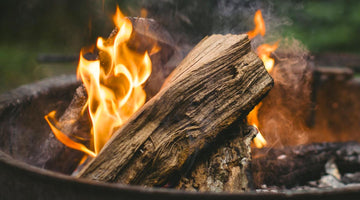 Why Kiln Dried Hardwood Is The Right Way To Keep Warm This Winter.