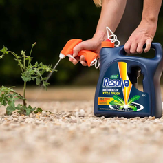 Garden Care & Maintenance