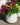 Glazed Pots