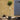 100cm standard olive tree
