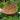 all natural coir coco hanging basket liner 12" 