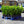 Load image into Gallery viewer, Cherry Laurel Fast Growing Evergreen Hedging (75cm/2-3ft)
