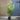 Cherry Laurel Fast Growing Evergreen Hedging (3-4ft)(5L)