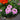 30cm Rattan Summer Hanging Baskets