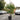 Photinia 'Red Robin' 30L Pot (150cm/5-6ft)