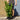 3L (2-3ft) | Cherry Laurel Hedging