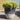 Frost Proof Blue Ombré Lightweight Planter planted