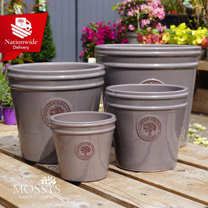 Blossom Orchard Pots Mossys Garden Centre