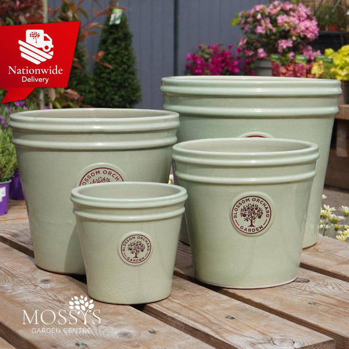 Blossom Orchard Pots Mossys Garden Centre