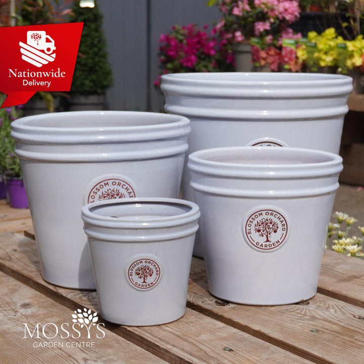 Blossom Orchard Pots Mossys Garden Centre