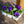 Load image into Gallery viewer, Blue Blotch Pansy 6 Pack | Deep Blue Winter Flowers
