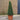 Buxus Cones (70cm)