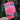 Camellia Japonica 1L (40cm)